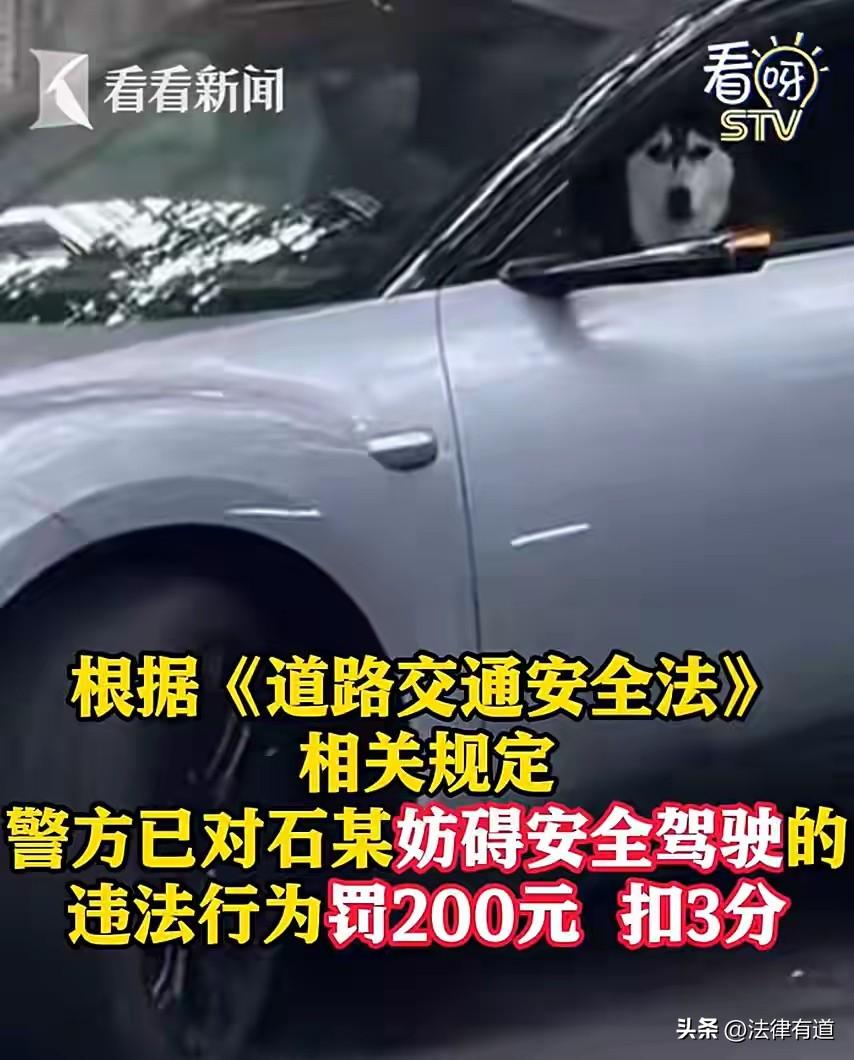 “这就是‘自导自演’的代价！”女子把狗单独留在驾驶位上，然后按下“自动泊车”键自
