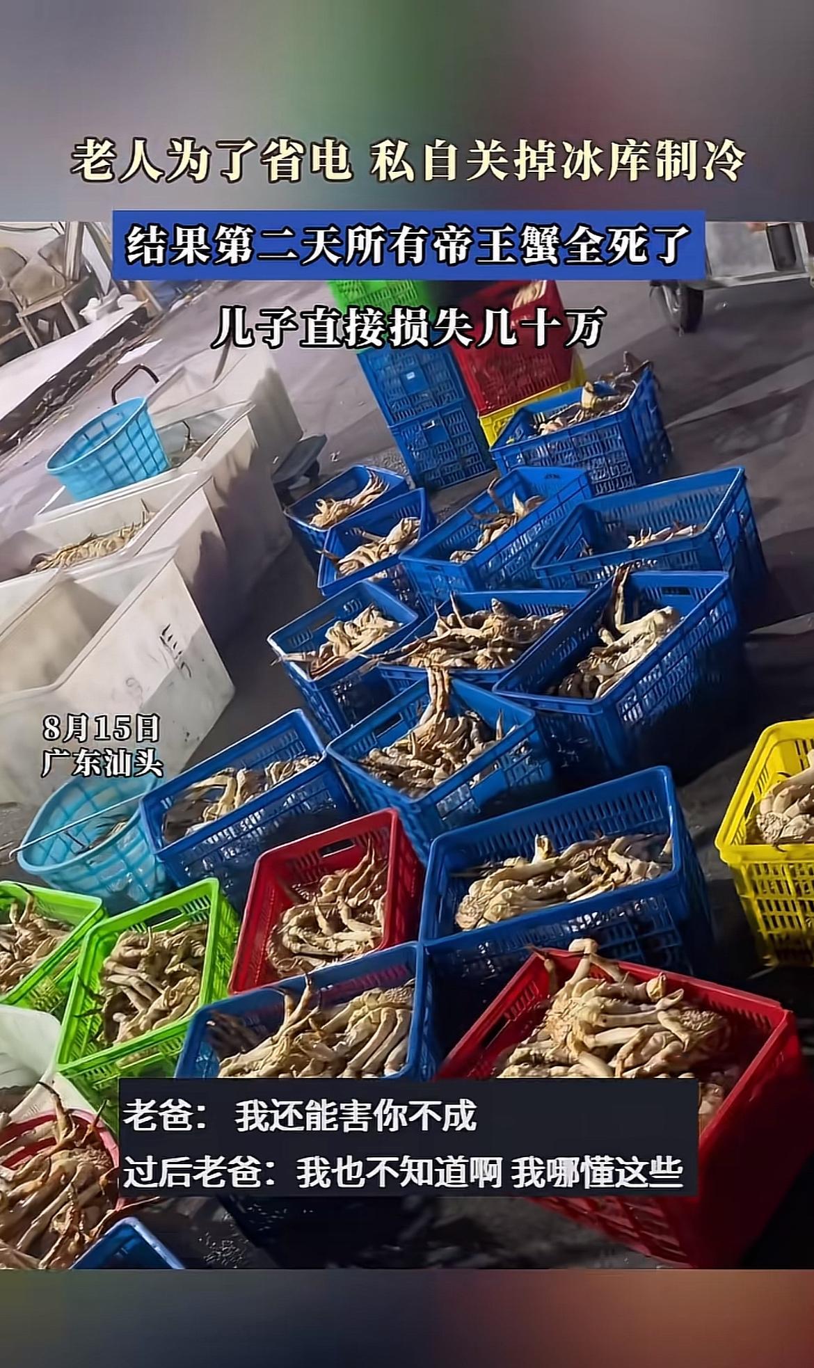 亏大发了！广东汕头，一老人为了省电，私自关掉儿子冰库制冷，结果第二天冰库里的帝王
