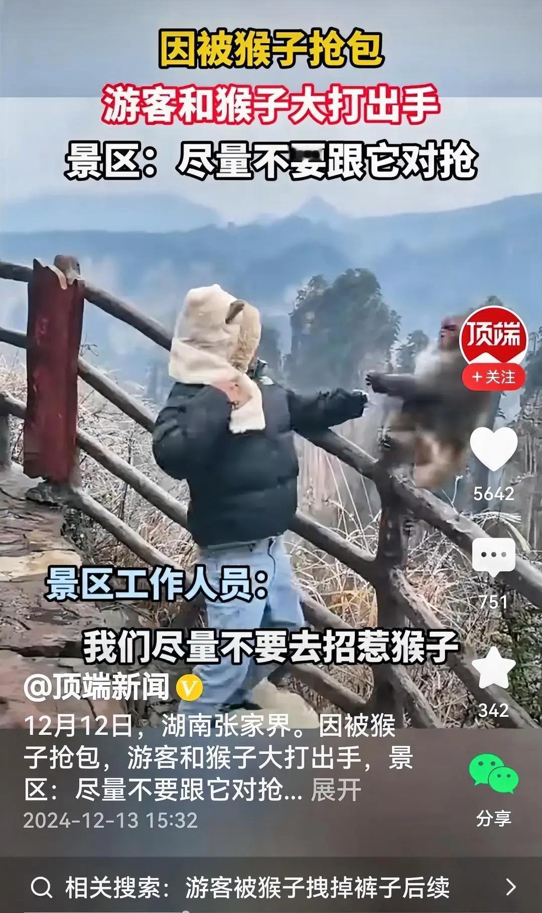 哦！视频里的猴子欲抢游客的包，游客捍卫主权，互不相让的结果，全武行肉搏战上演了。