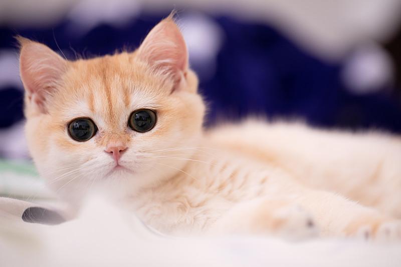 这段时间。明显感觉时间不够用。每天都是两点一线。上班下班。每天忙个不停。但是我感