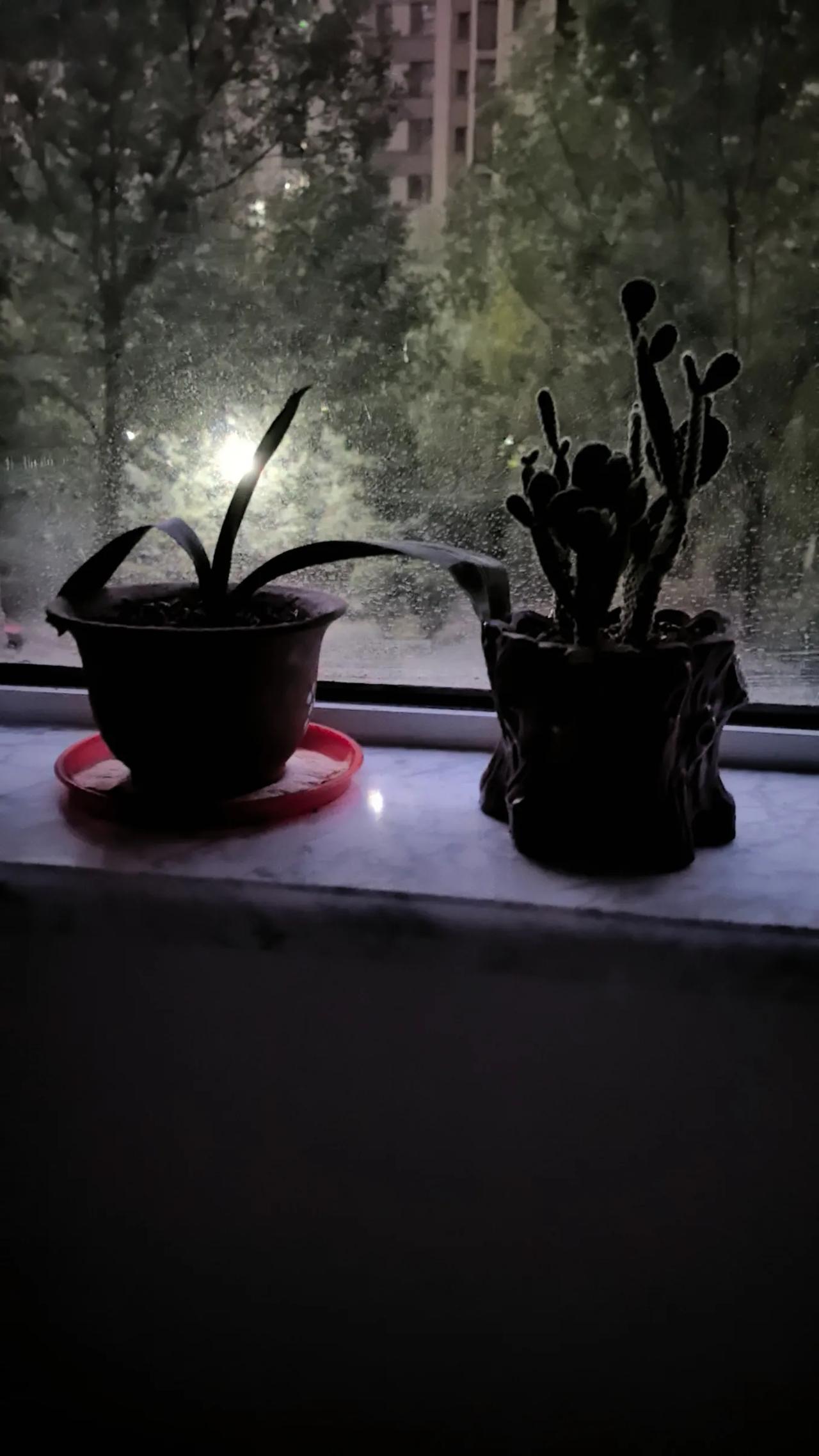 去呼和浩特市和林县起土豆吧，干得好，每天也有四五百元的收入。昨天下午，在呼和浩特