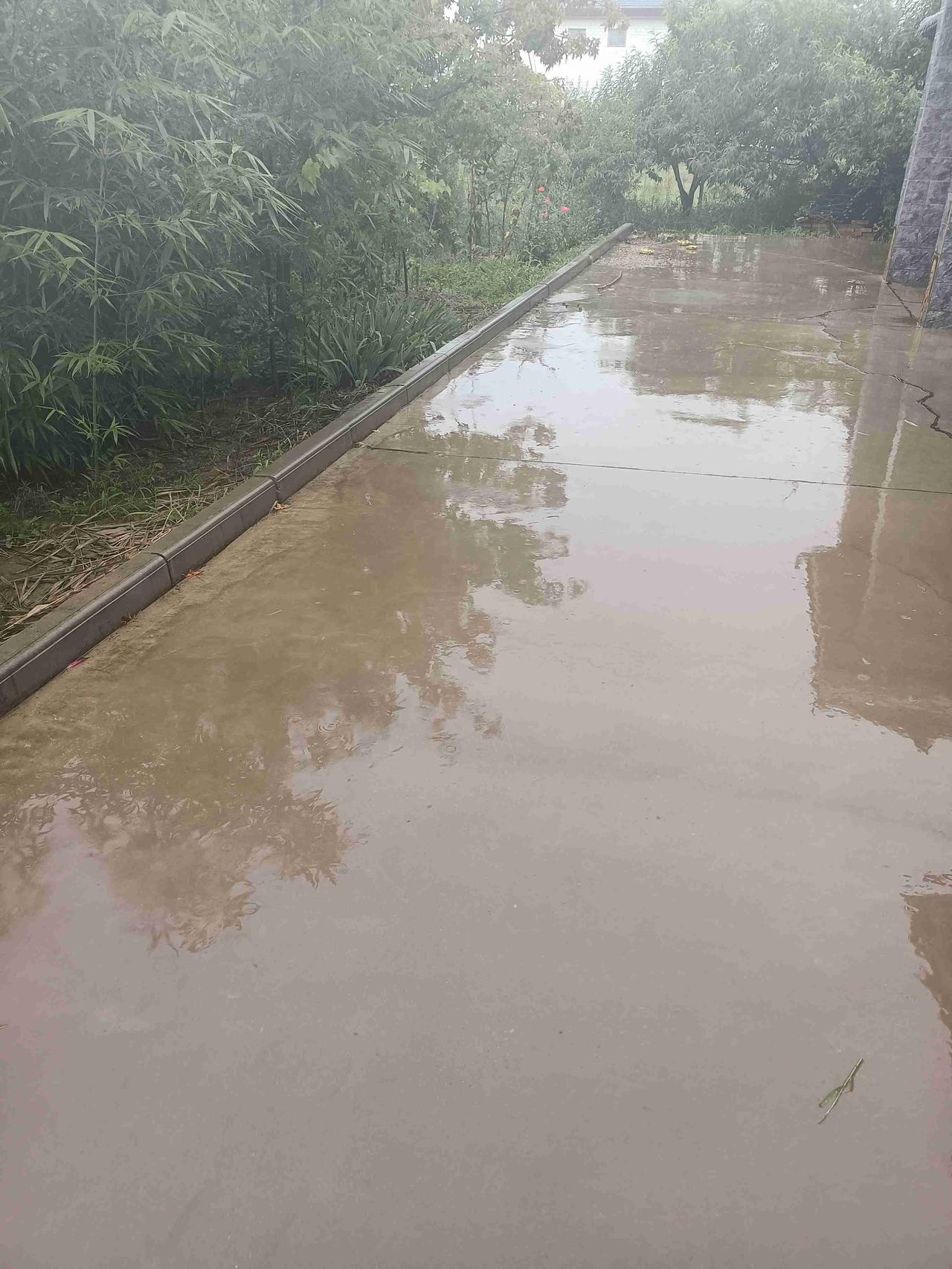 西峰这天，我想大抵是雨下傻了吧，大到田里的庄稼，小到家门口的地垫，被雨下得全部发