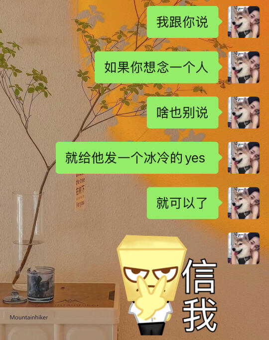 这个贱我必须犯