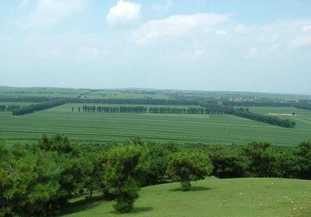 全球第一！中国新能源汽车销量正式超过日本！这件事很多人当作一个“成绩”来看，但我