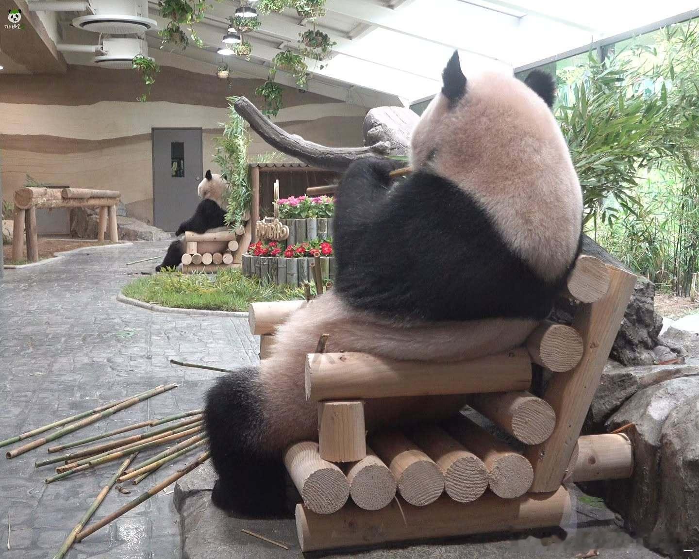 每天早起打卡早～ 