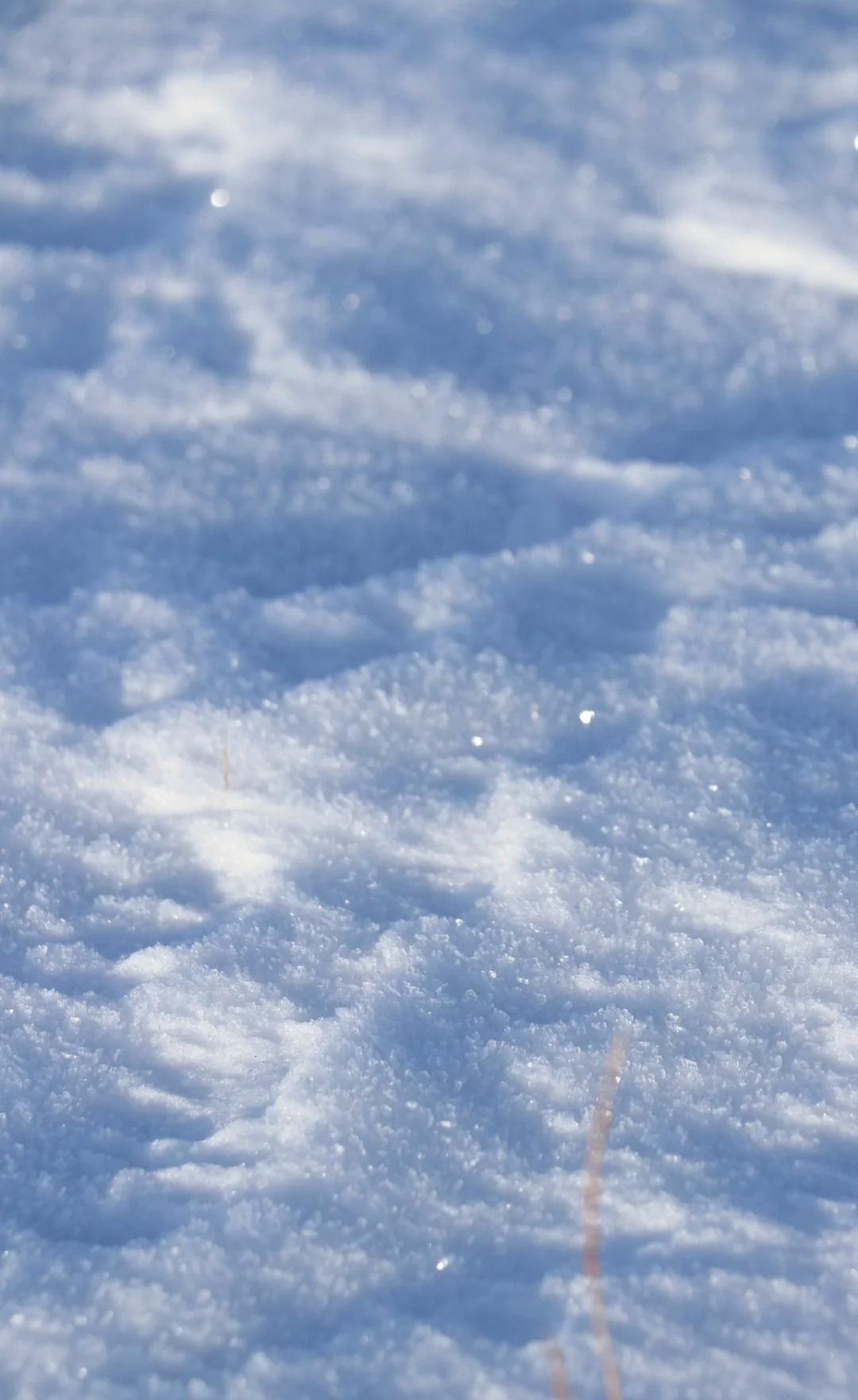 胡说八道可爱文案

1. 今晚挤好牙膏 明天能多睡三秒
2. 亲爱的网友 泥嚎