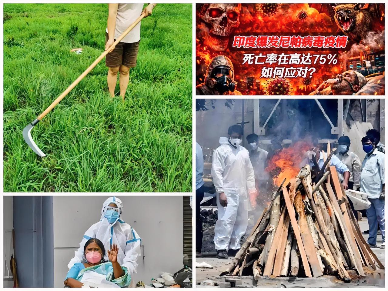 印度人要是扛不住“尼帕”病毒，印度经济必将被收割，那真是“尼帕”变“你怕”，大家