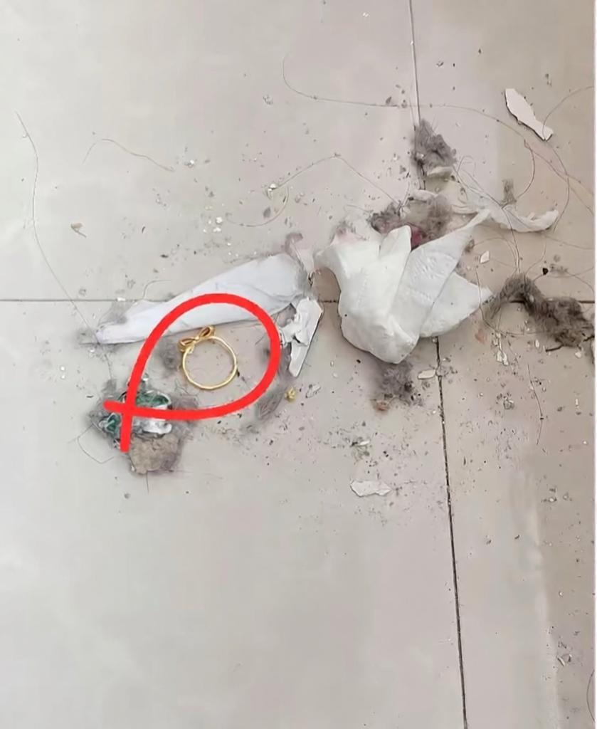 打扫卫生找到了丢了很多年的东西