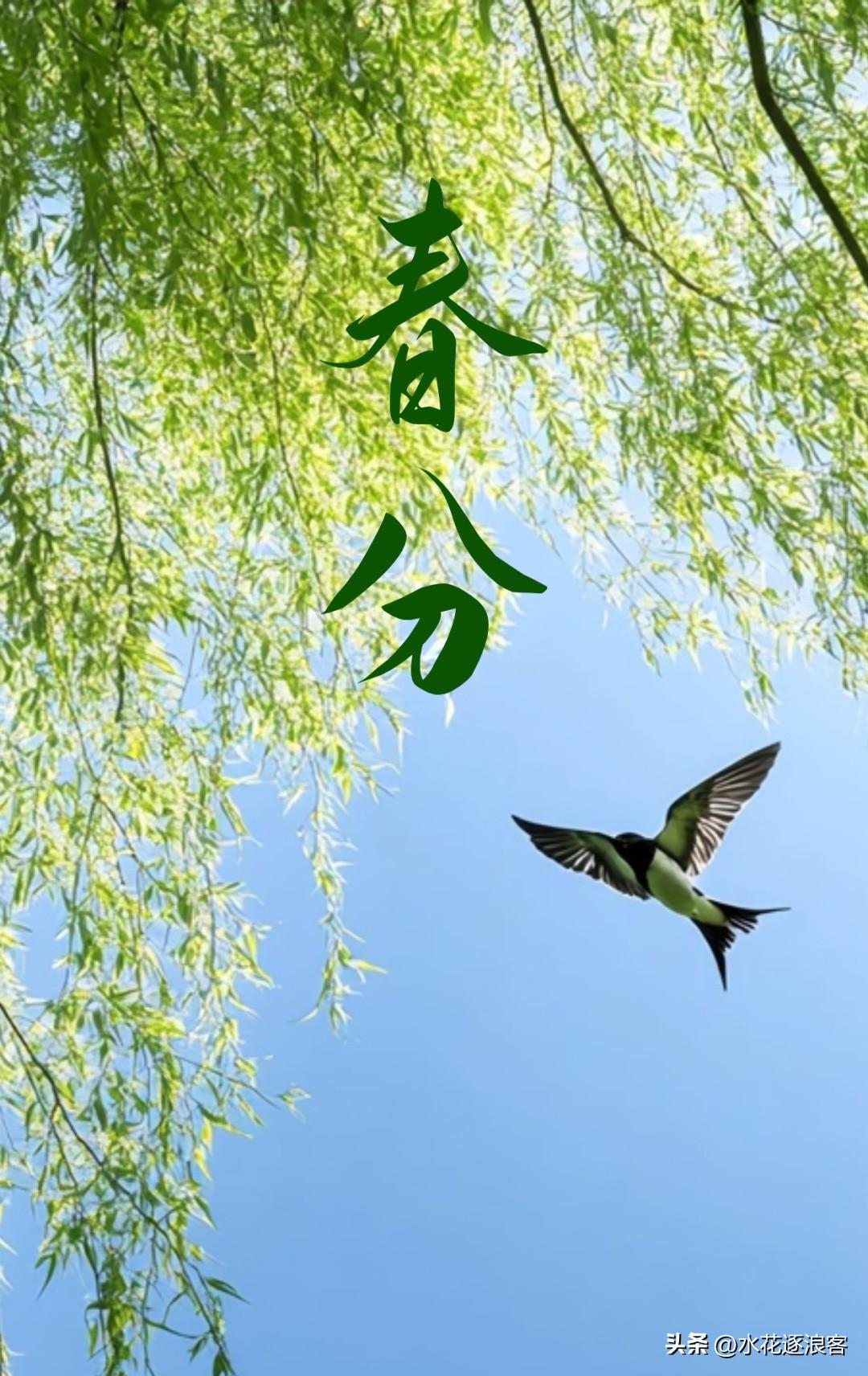 《七律·春分龙抬头有怀》
[微风][微风][微风]
节至春分龙举首，东君送暖入层