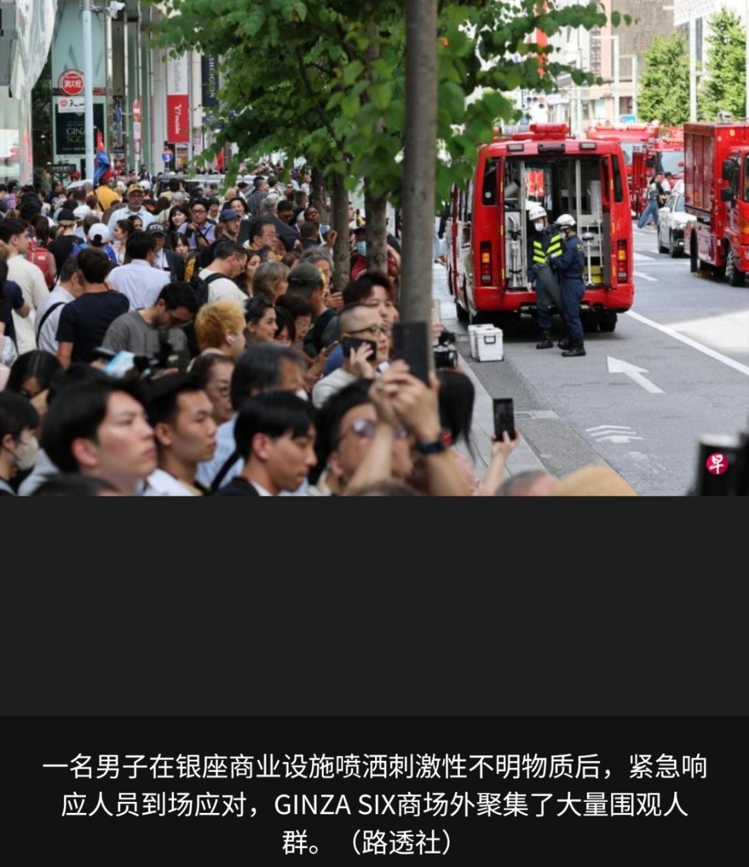 寰球镜头去日本旅游的游客有福了。运气不好就会遇到这些报复社会的日本疯子。据报道，