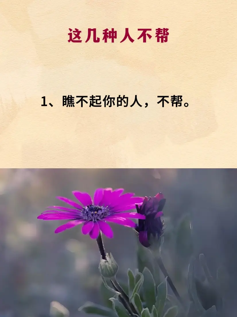 智慧人生 处事智慧 提升自己
