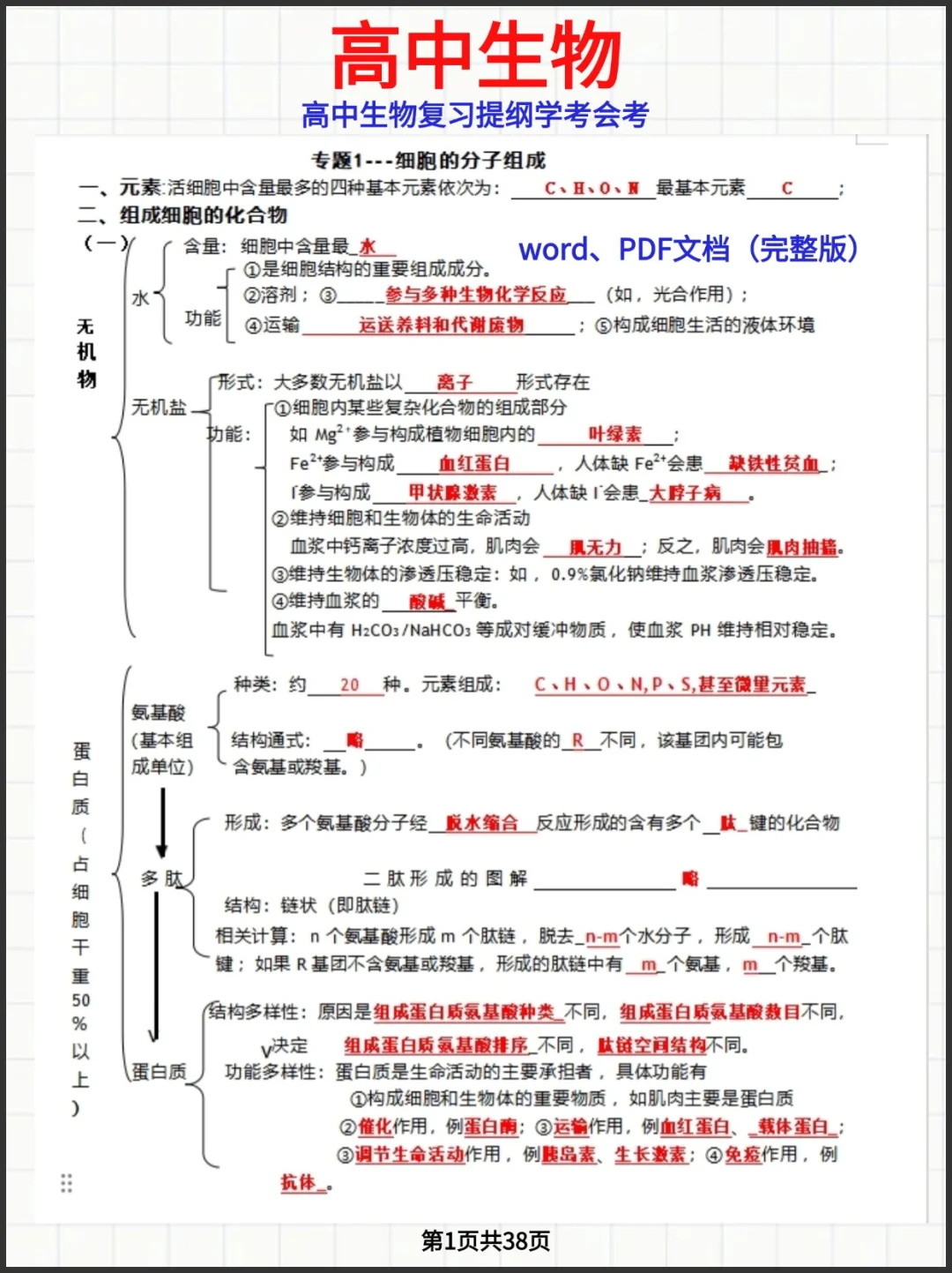 高中生物复习提纲学考会考