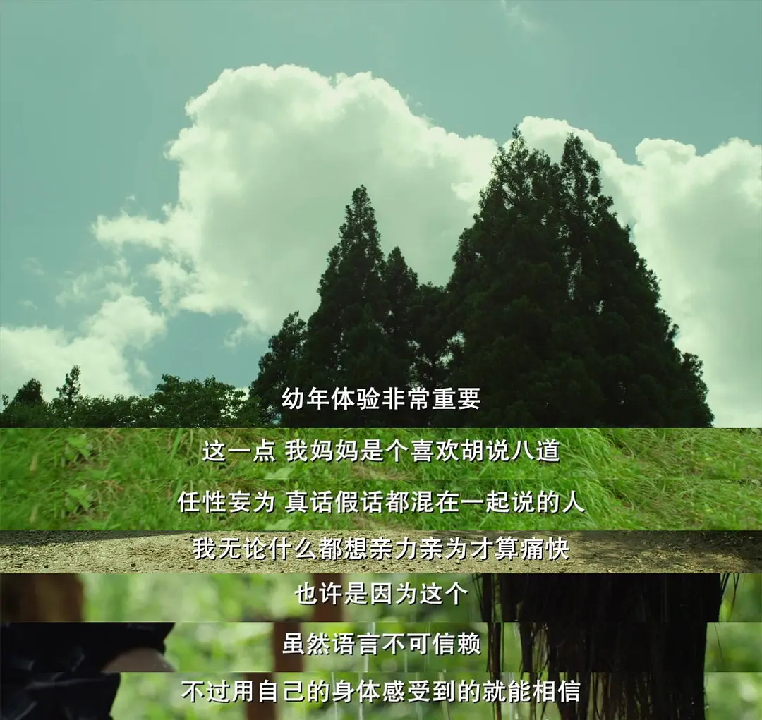 “虽然语言不可信赖不过用自己的身体感受到的就能相信”/ 小森林 