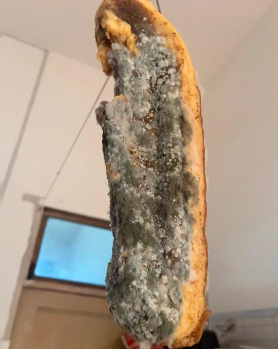 女子吐槽说：“我家隔壁邻居好恶心，送给我妈一块腊肉，说是他贵州的亲戚寄来的，可是