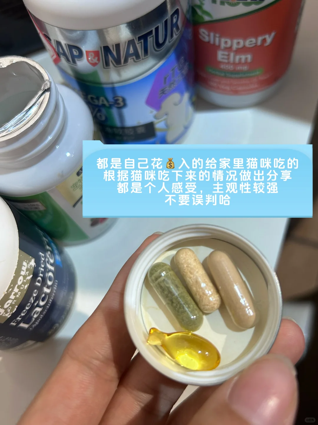 5岁老猫咪每天吃这些会多吗