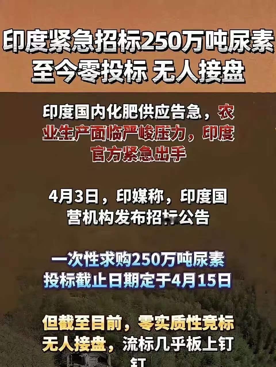 印度招标250万吨尿素，

全球没人理，

到底卡在哪了？

今天都4月13号了