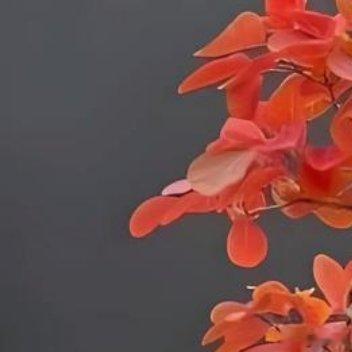 祝我们都能在鸡零狗碎里找到闪闪的快乐✨愿你所有的努力都不被辜负，本来早已经过了感