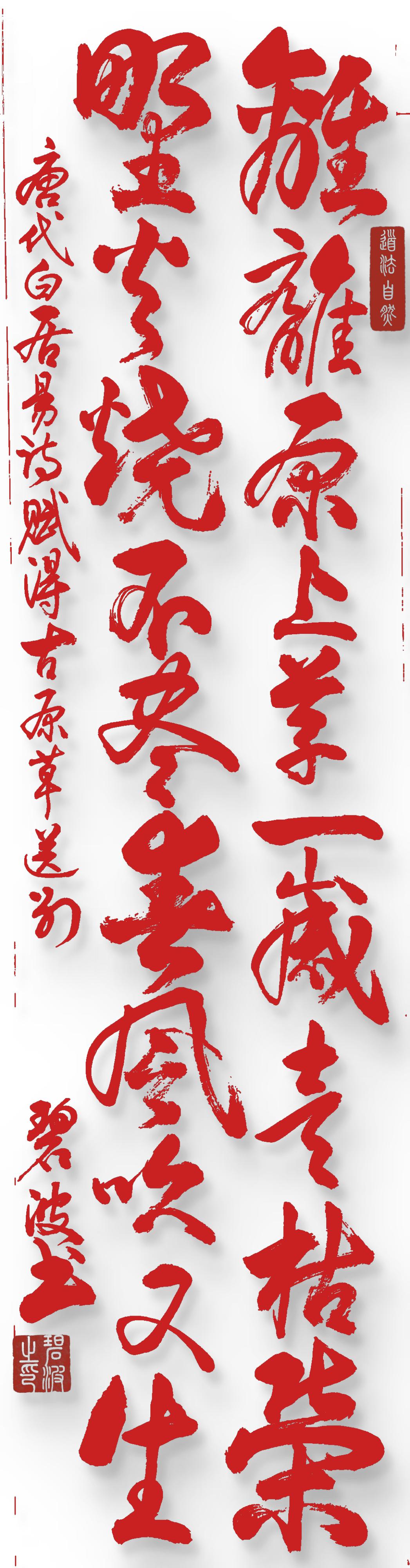 今天接着秀