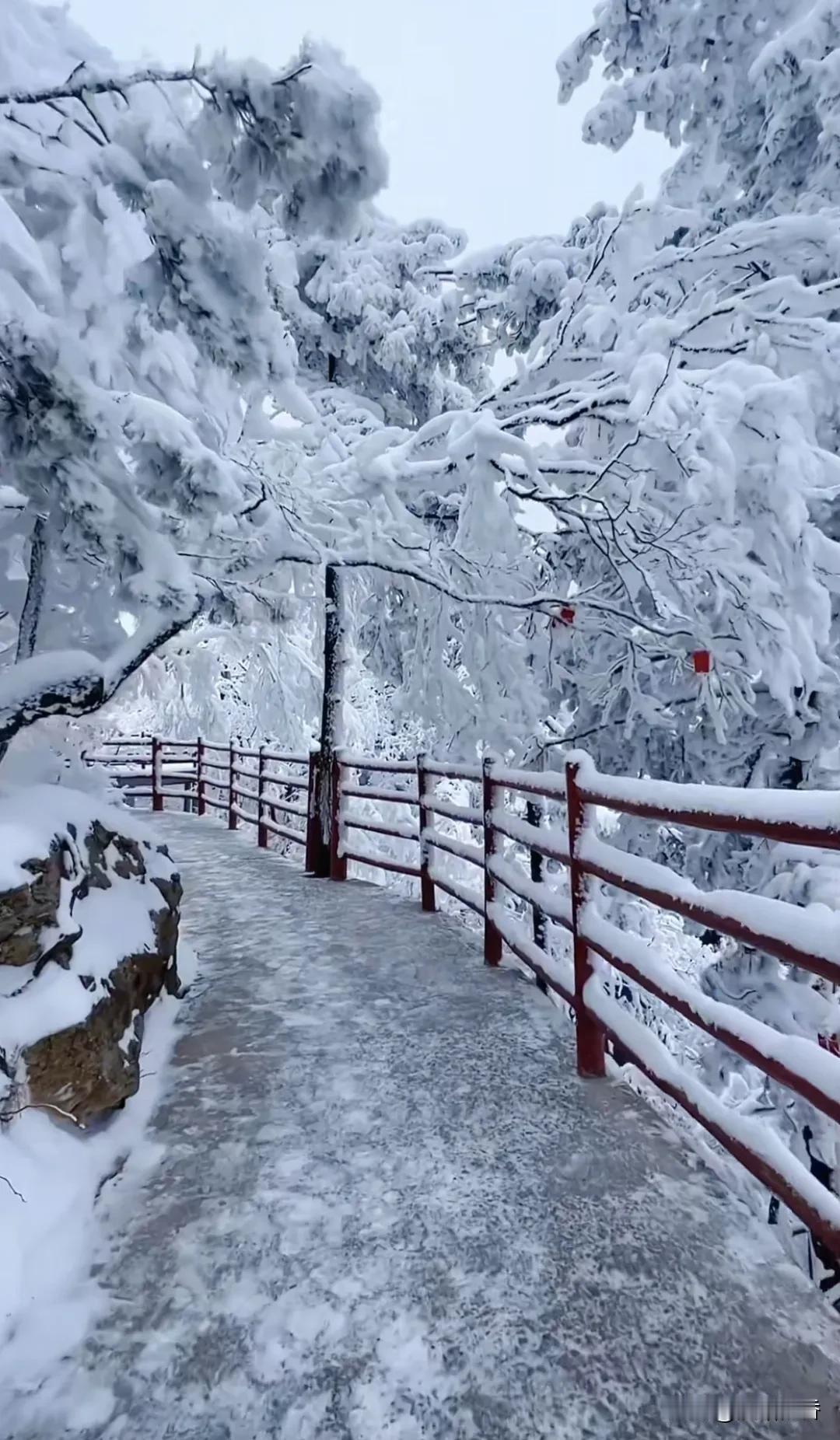 冰雪世界，
是冬日的诗篇，
每一行都写满了宁静与美好，
等待着有心人的解读。