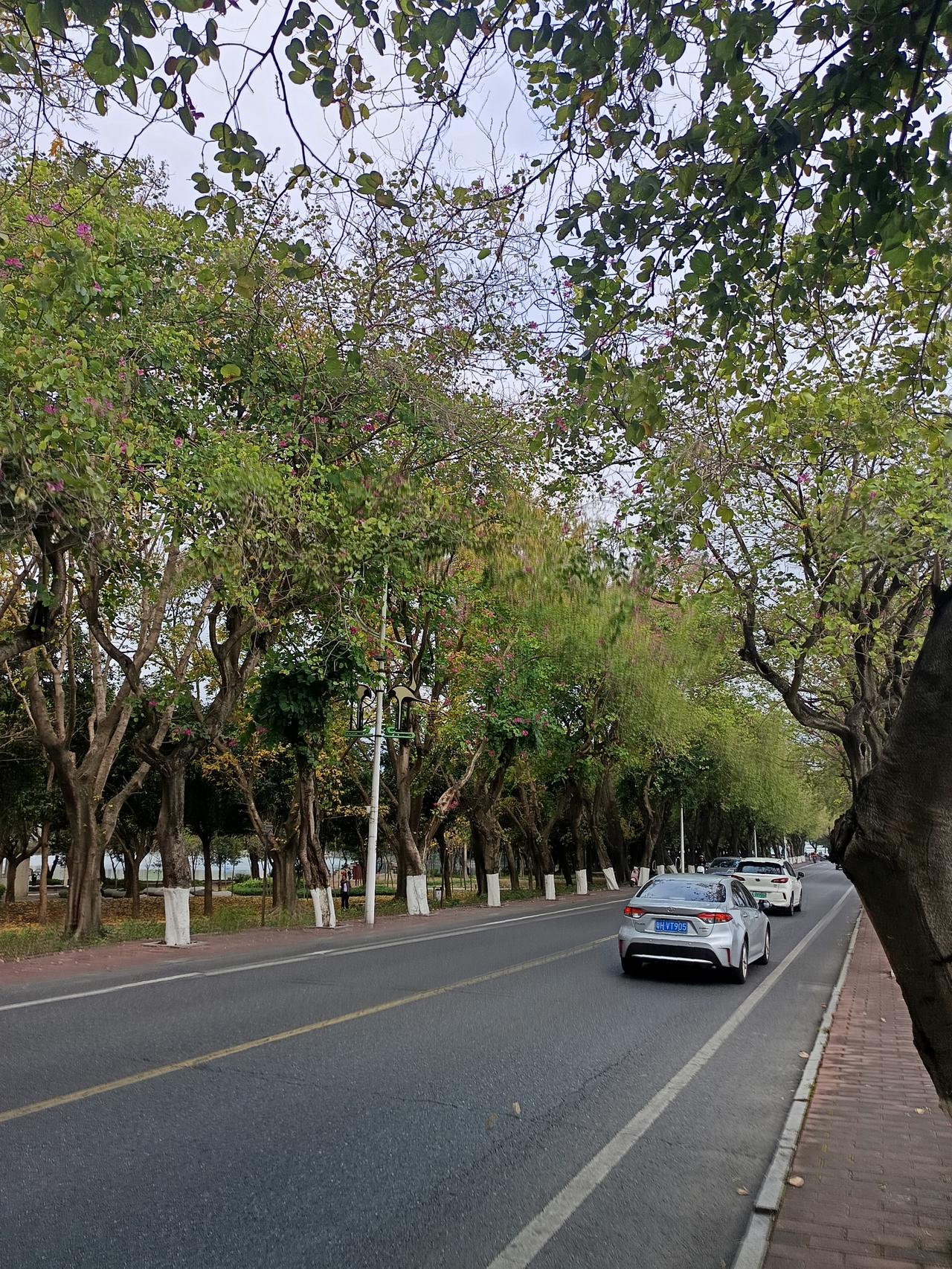 家人们谁懂啊，这里就是肇庆市的七星岩风景区
拥有这么完美的风景，真是独一无二