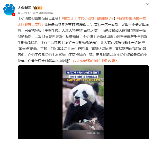 被骂了千年的小动物们该翻身了天津大鸨不是“百鸟之妻”，而是比大熊猫还珍稀的国家一