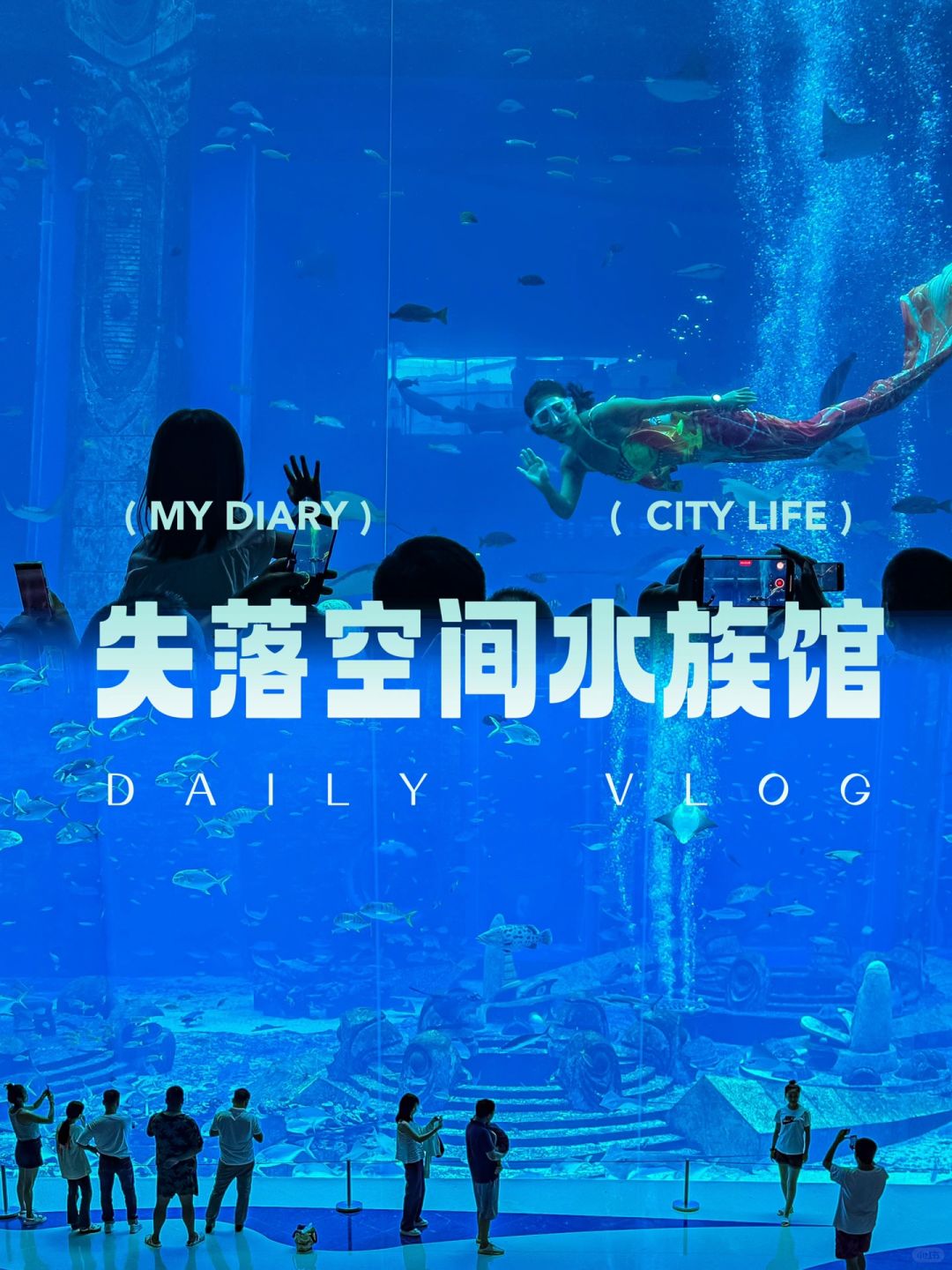 这才是Live图存在的意义吧🪼🐡🐠🐚🪸🐳
