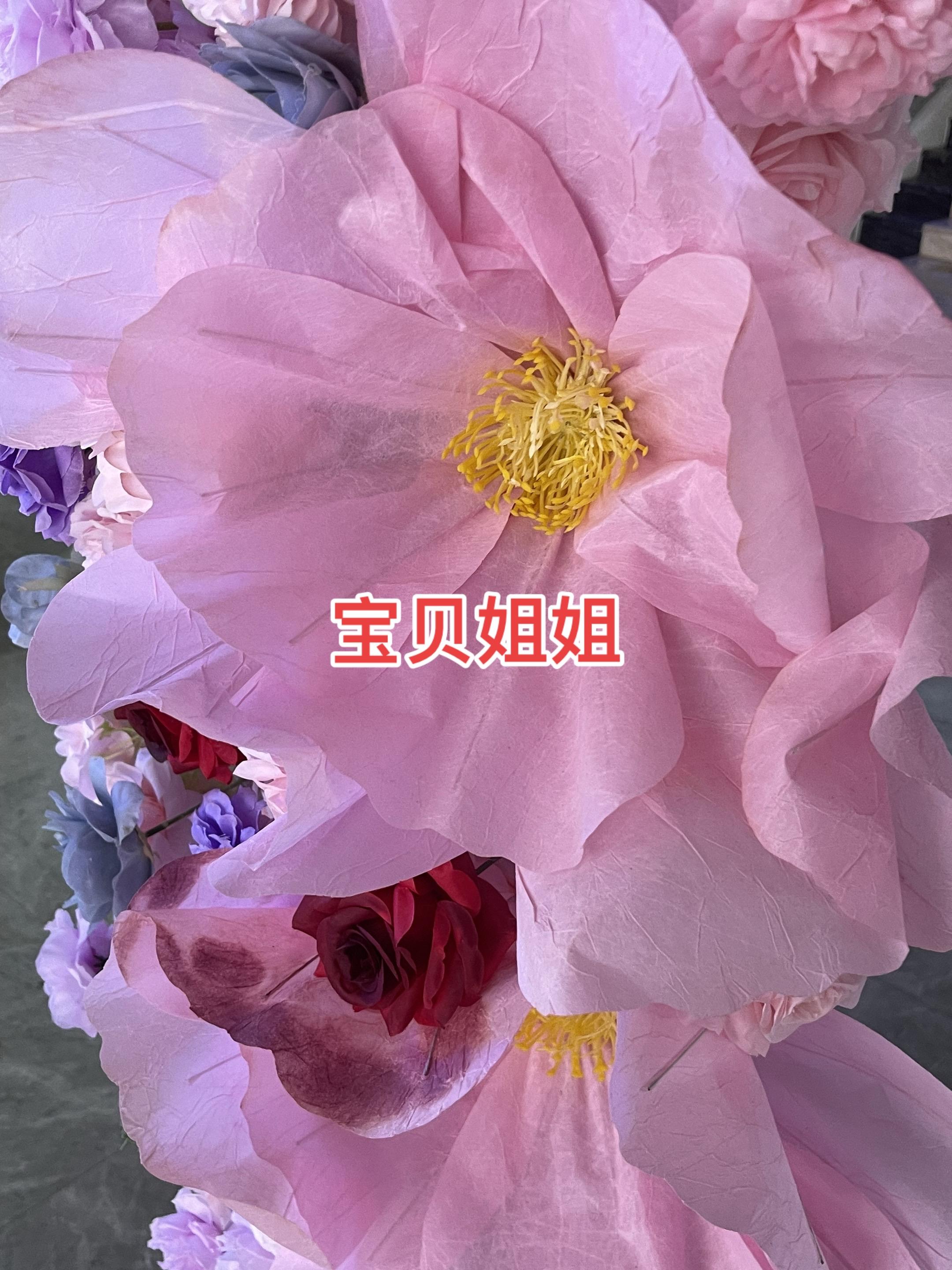 花开富贵好运来