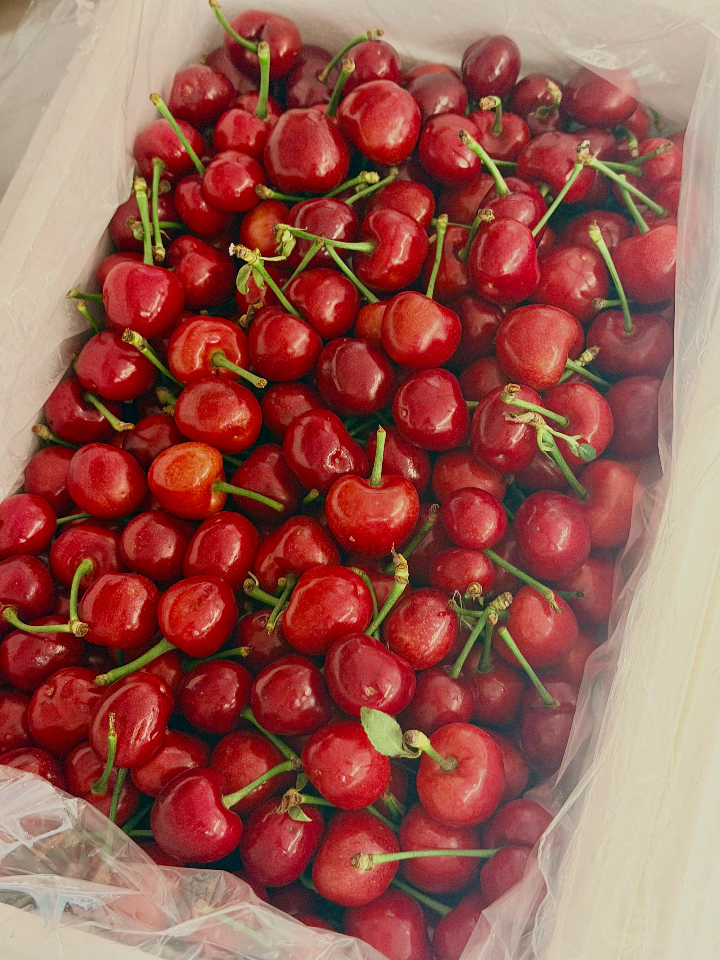 我的能量源泉🩵🪽🌱👶 