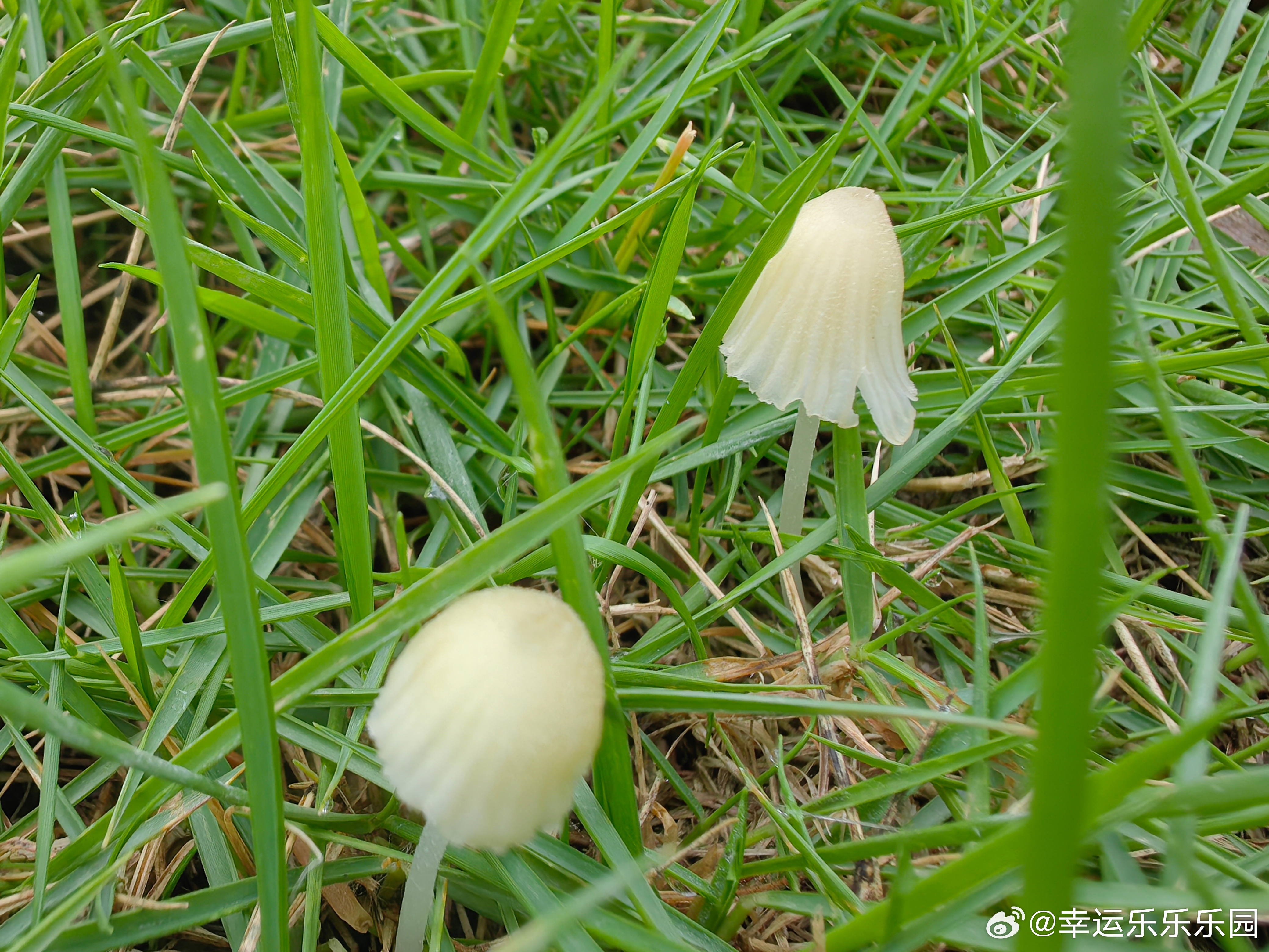 “你要做的是在看不到光的时候，依然相信光的存在，并且继续走。这才是最难的部分，不