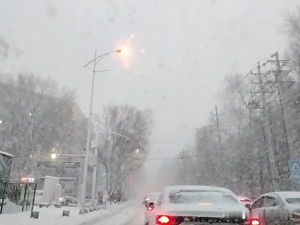 这哪是暴风雨，直接就风吹暴雪啊。车子被埋雪里成面包车了，一脚油门原地打滑[捂脸]