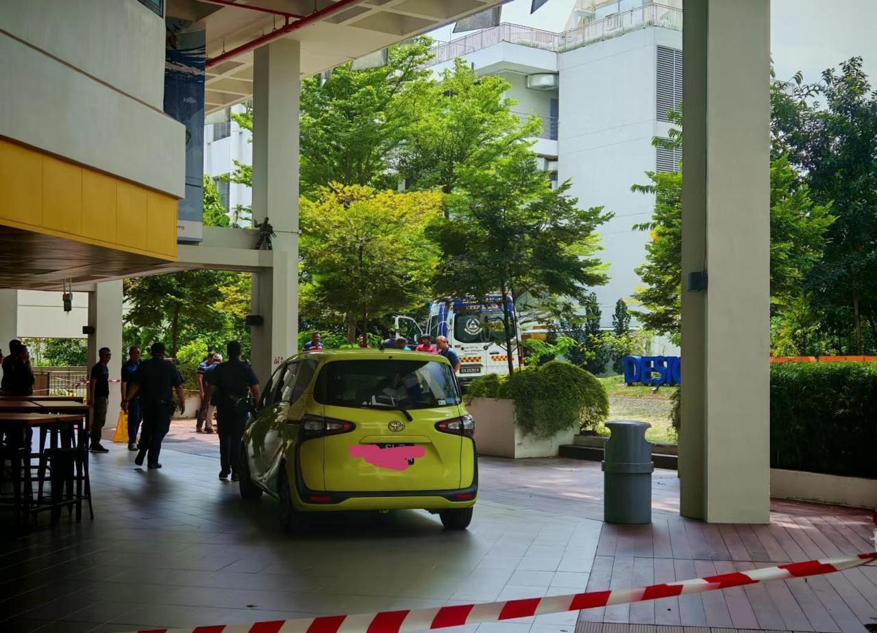 nus cde大树对面有车了）
没想到有车不知道为什么能开到这里，神奇捏
现场已