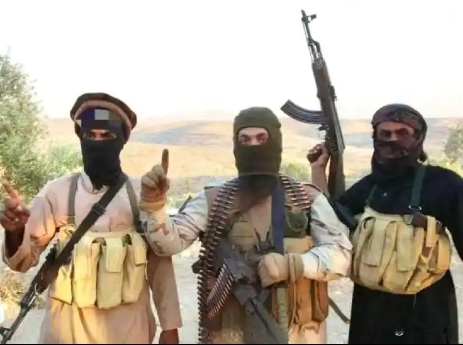 伊朗处决伊斯兰恐怖分子。

1月24日，伊朗司法部发布消息称：被处决的两名人员，