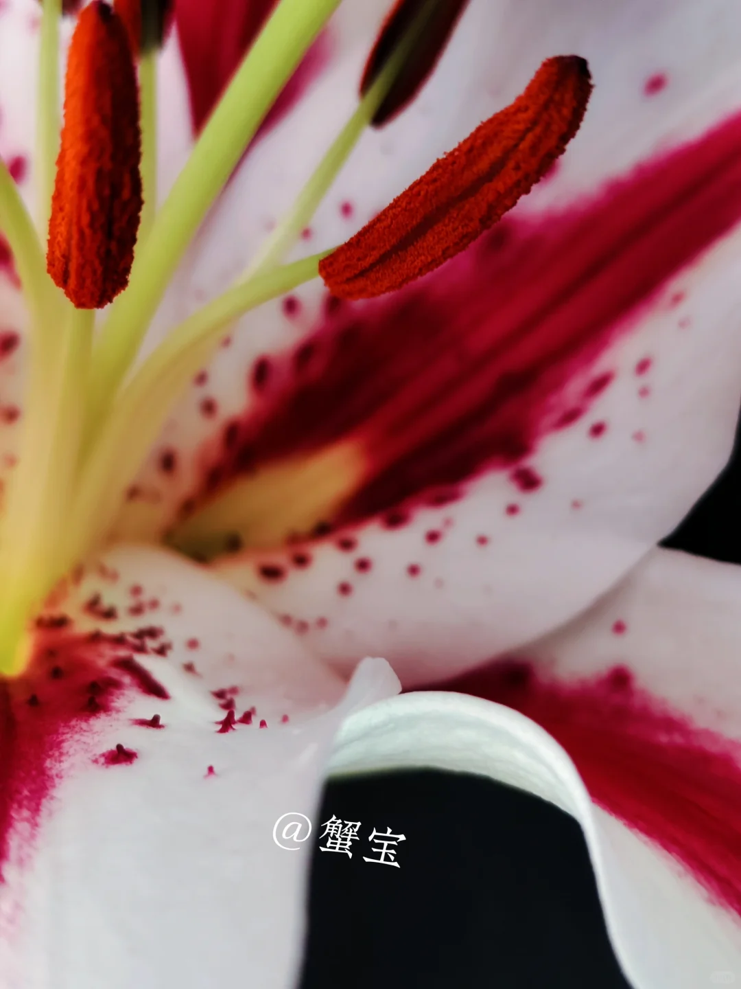 治愈
