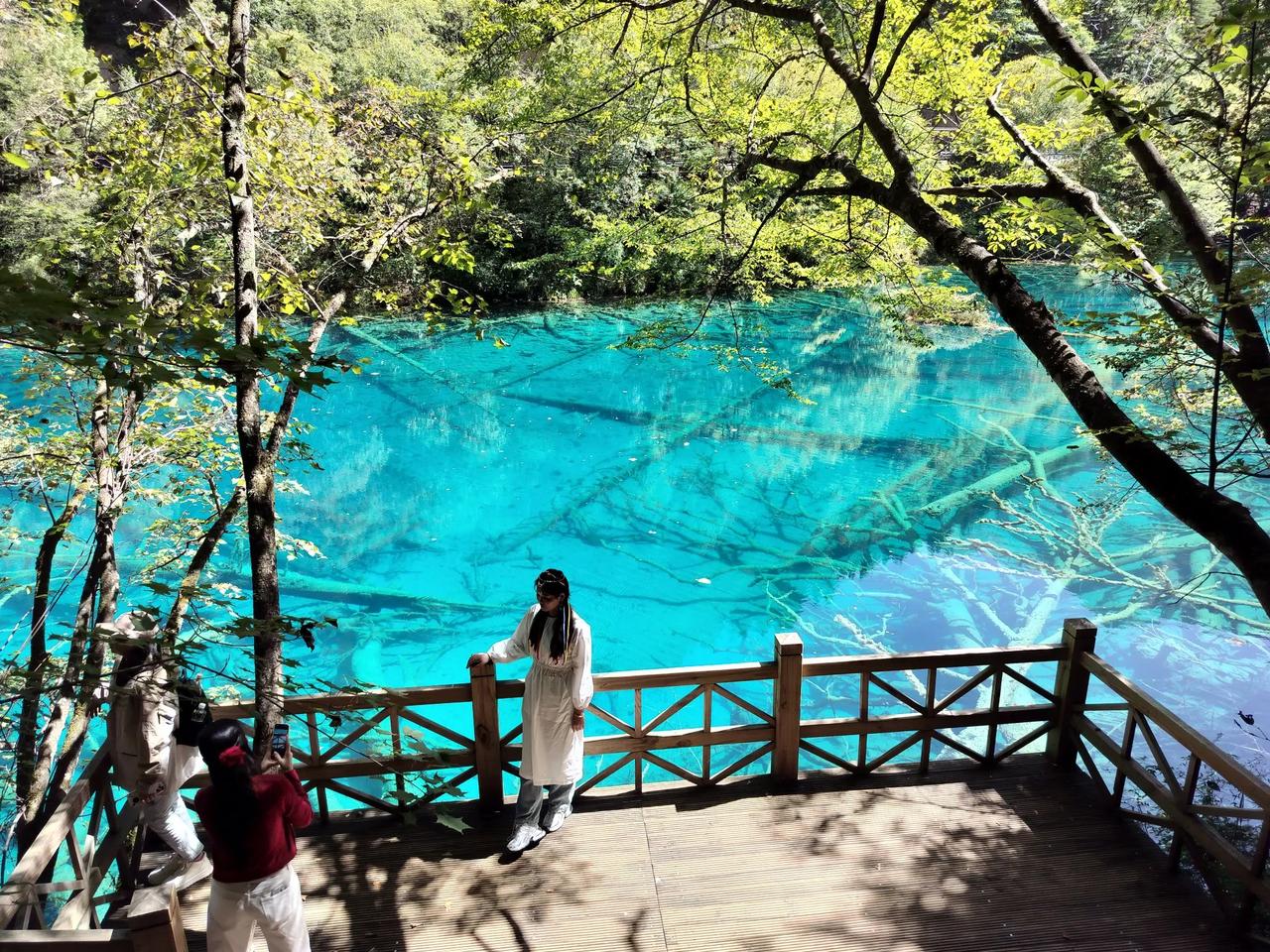 天南地北大拜年中奖