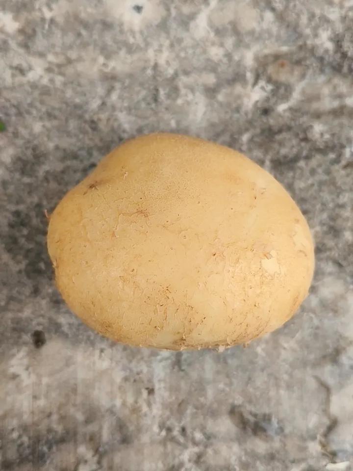 自己小菜园里种的土豆，擦成细丝，加一点二师兄身上的瘦肉，佐料用鲜花椒与茴香，味道