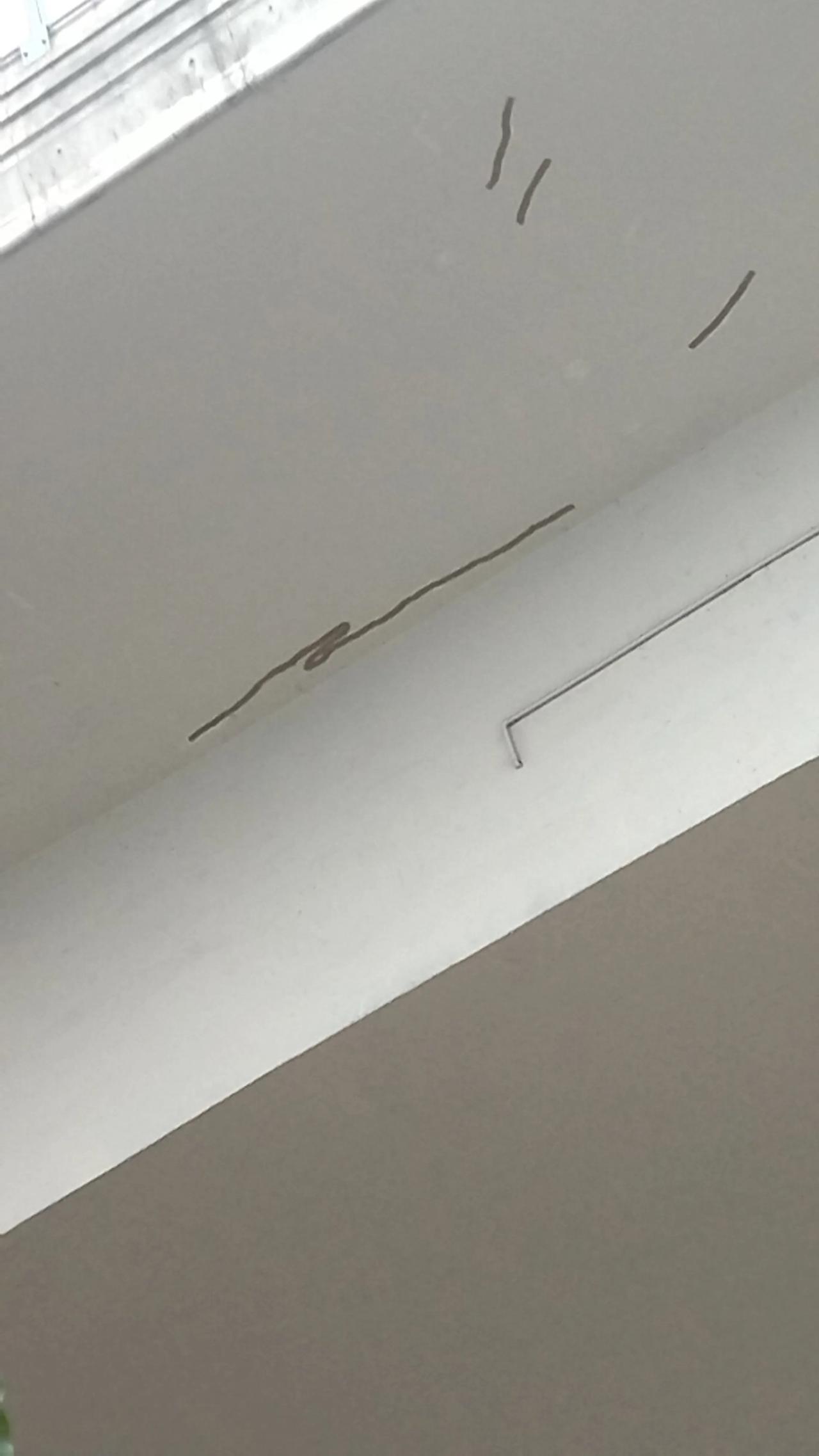 深圳高速高架桥没用几年，全用上补丁修补技术了。