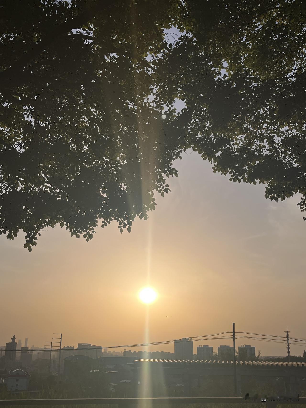 夕阳西下
炊烟升起
伫立在春风里
仿佛听见母亲的呼唤
抬眸间幽香弥漫
家的方向就