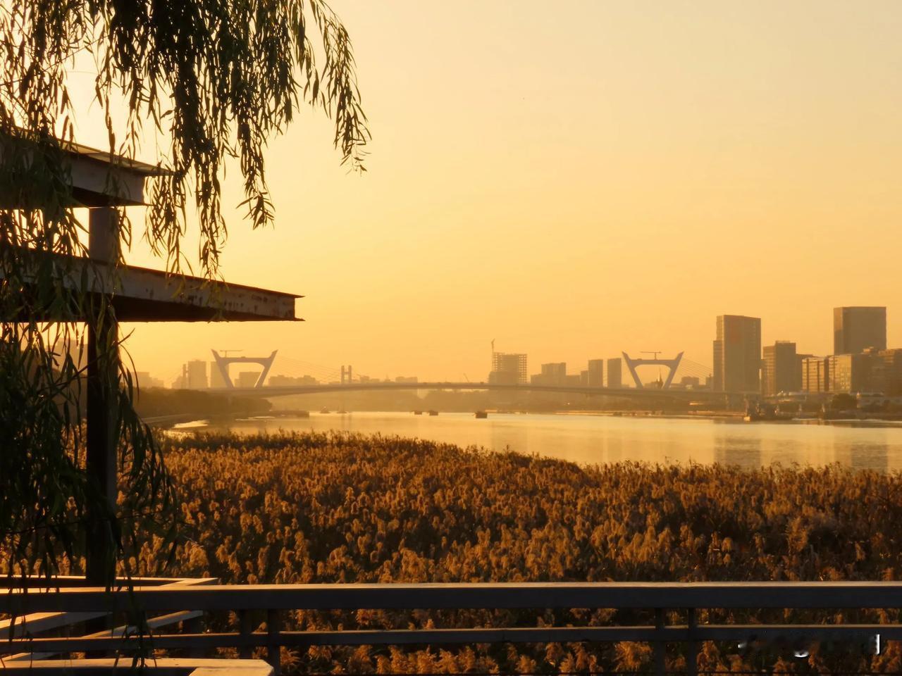 夕阳下的城市天际线，美景尽收眼底。
