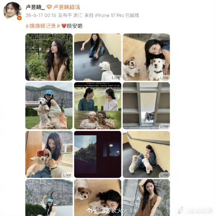 卢昱晓道歉发布《给阿嬷的情书》屏摄内容，编辑后的图片中又打错了片名，引热议。对此