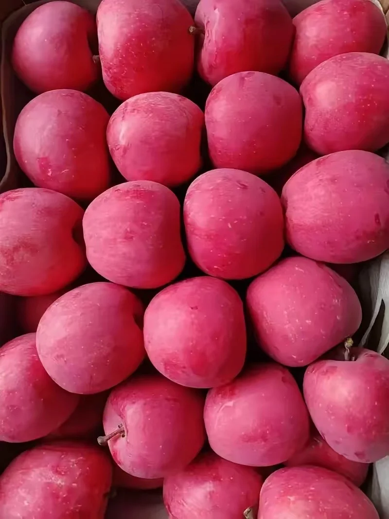 大家记得一点，你越是把底牌提前打光，对方越不需要珍惜你 前段时间来找我...