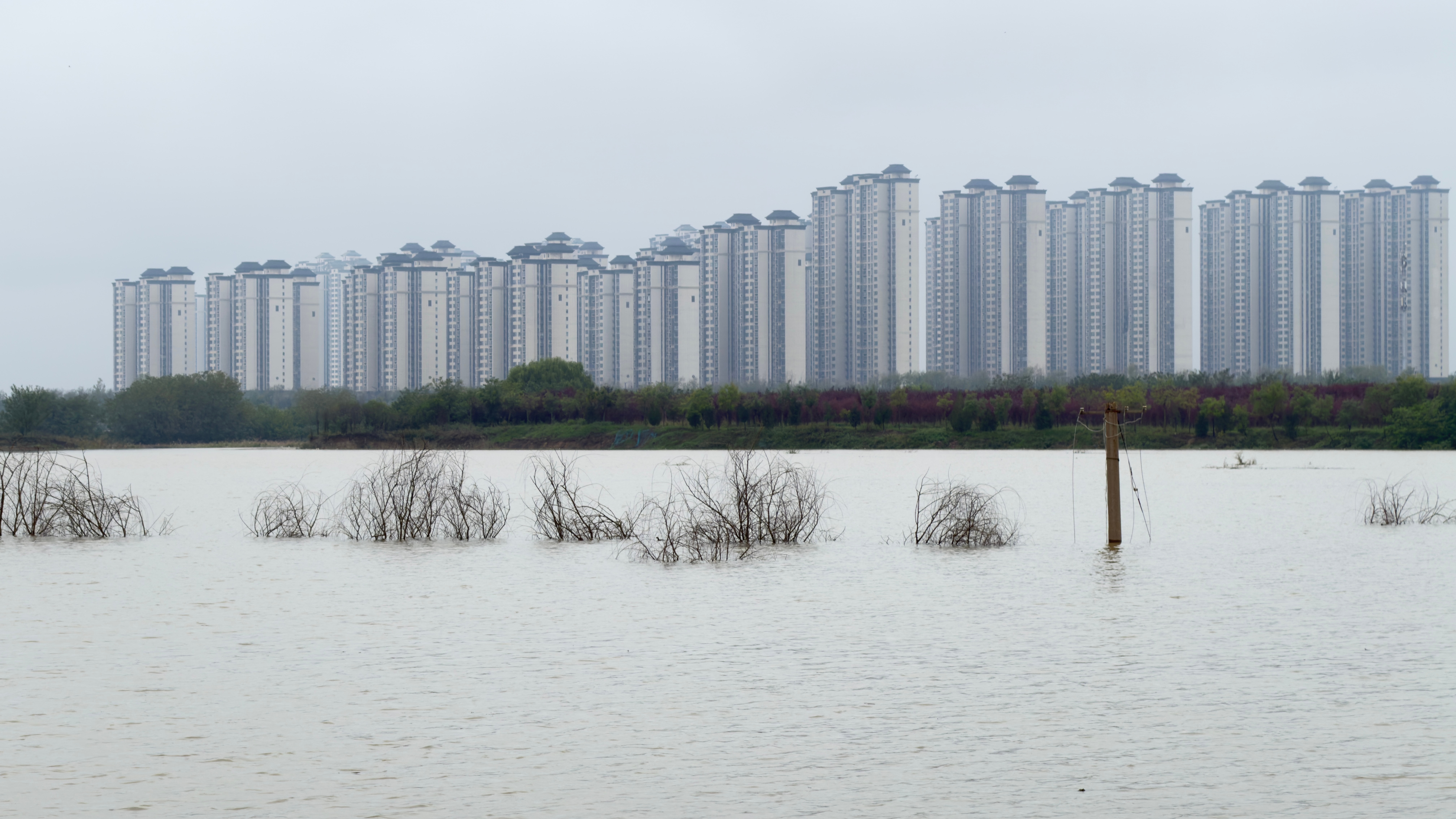 老一辈的婚姻逻辑：不结婚=丢人且不正常离婚=丢人且正常不生娃=不丢人且人不正常过