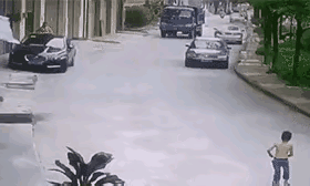 看到这样的画面，心里特别的难过，一条鲜活的生命，很可能就已经终结了，可是这又能怪