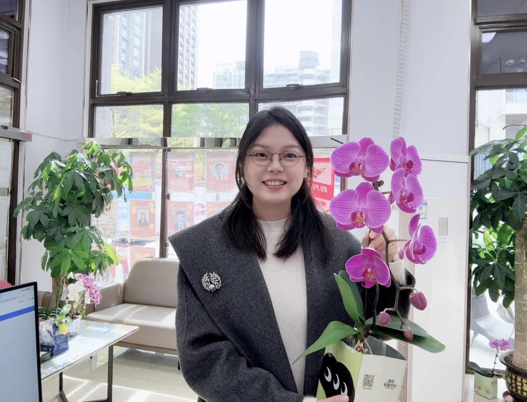 帮我看看这颗蝴蝶兰什么品种？复花啦‼️