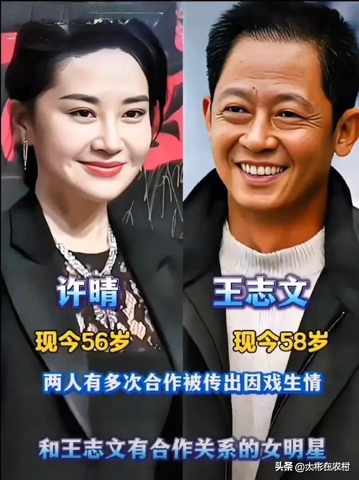 和王志文有合作关系的女明星，你觉得谁是最美？



我个人更喜欢许晴和江珊多一些