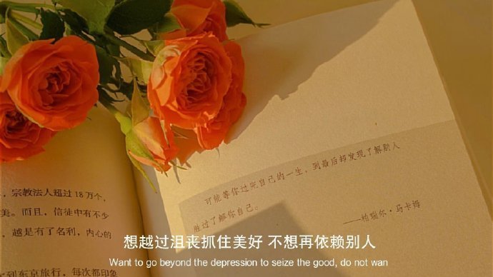 婚姻的尽头，是恶语相向，是人性最阴暗一面的暴露，是他嘴里满是你的不堪，是扼杀你陪