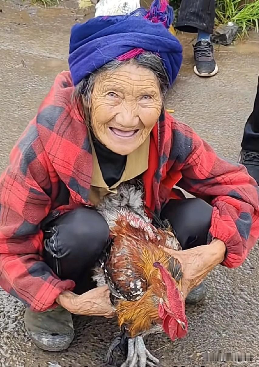 今天看了这个大公鸡的故事，感觉特别的感人，这个老人拿着这个大公鸡到集市上来卖，一