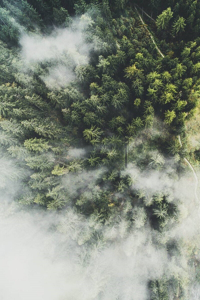 你把心事托付给云，云会漫过整座山河。—— 睡前读书 