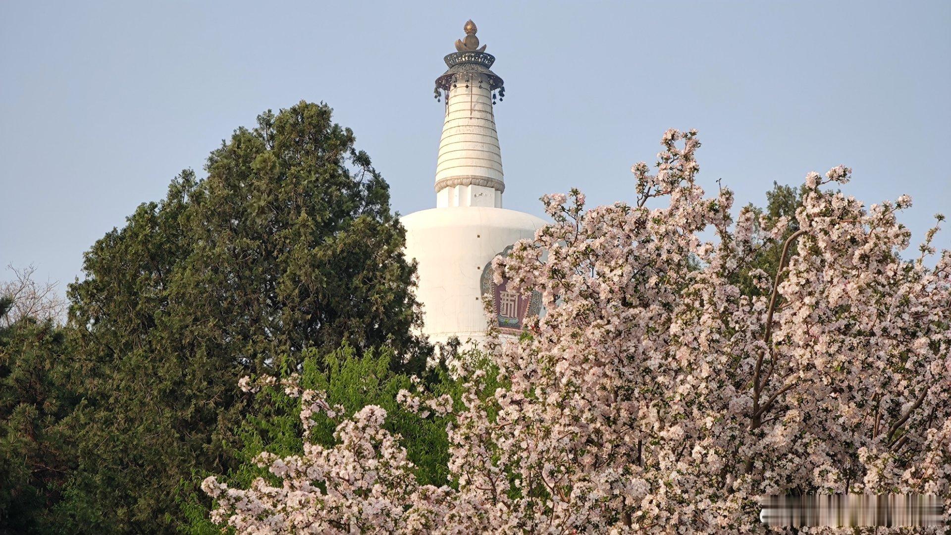 北京北海公园琼岛春阴  摄影​​​