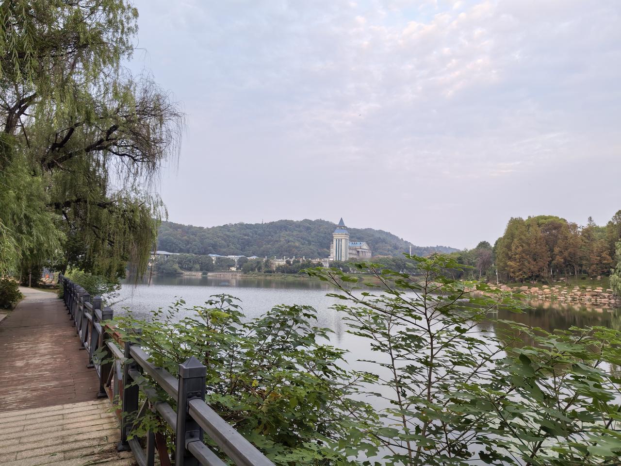秋日生活打卡季 秋日真是个适合打卡生活的季节！就像乌鲁木齐的秋天，美得让人沉醉。