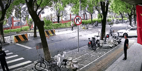 暴雨下了整整十个小时，猫丢了。

主人疯了一样满大街找，嗓子喊哑了，鞋里灌满了水
